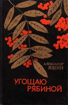 Обложка Волк в городе