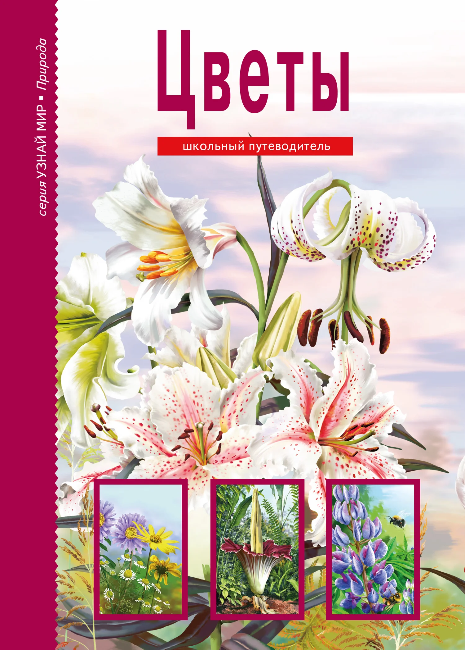 Обложка Цветы