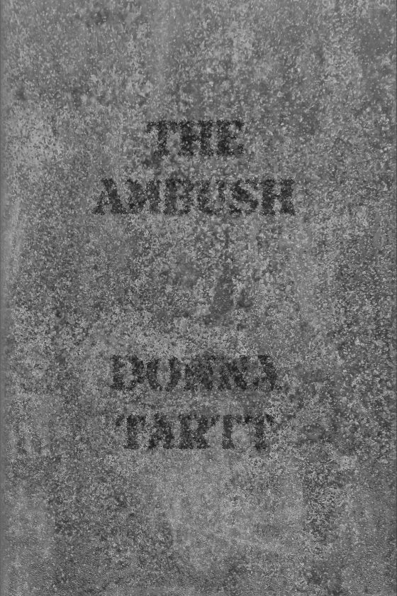 Обложка Засада