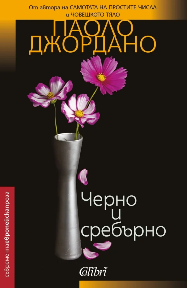 Обложка Черно и сребърно