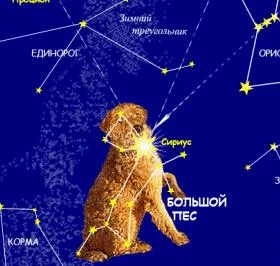 Обложка Собачьи истории (выпуски 1-28)