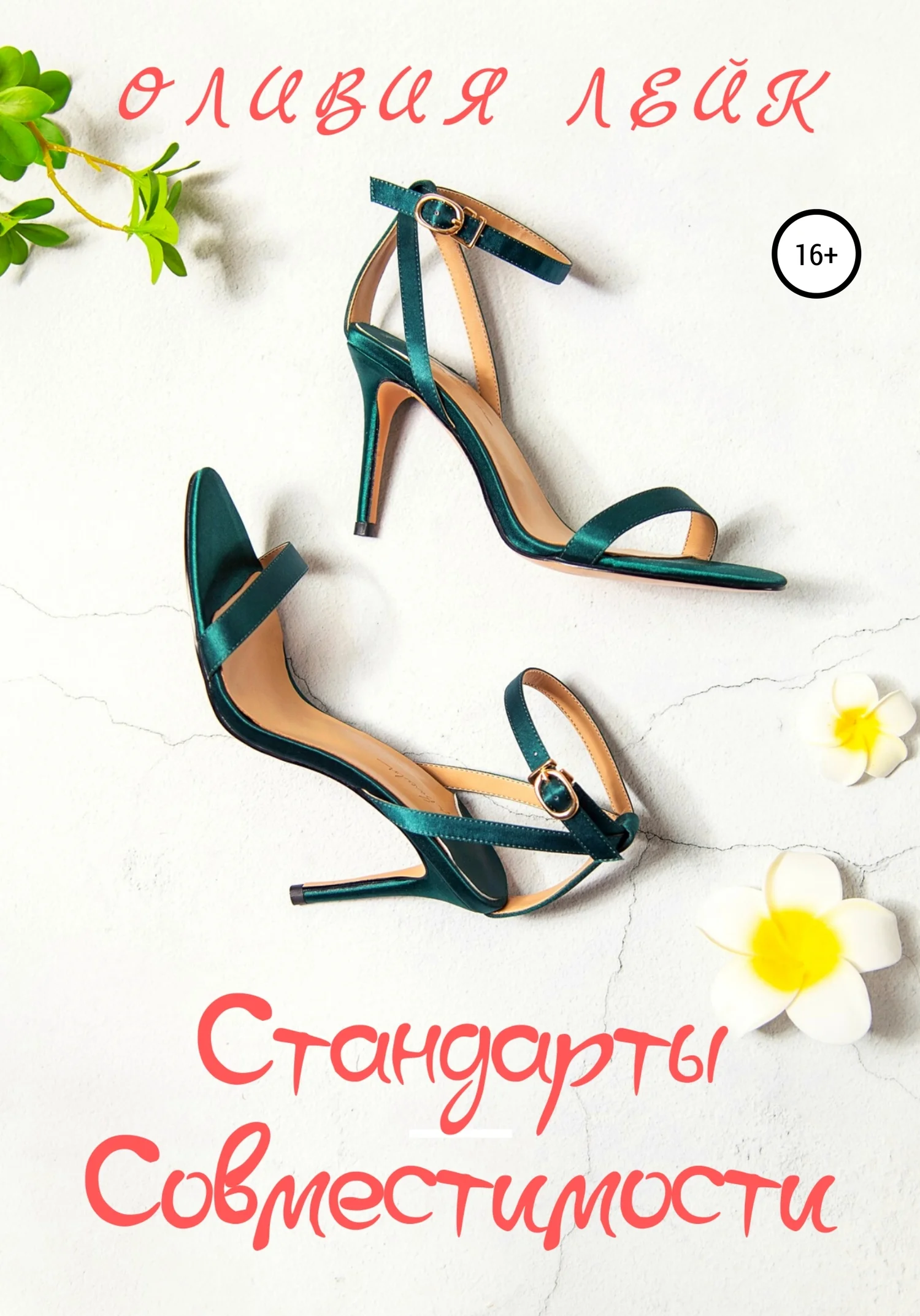 Обложка Стандарты совместимости