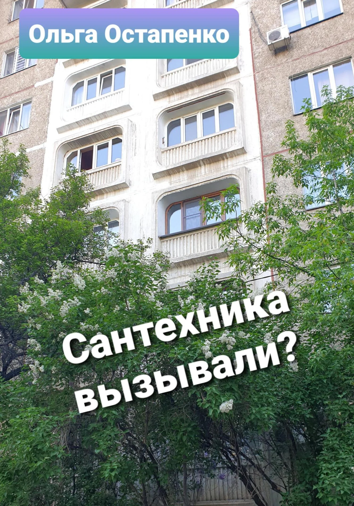 Обложка Сантехника вызывали?