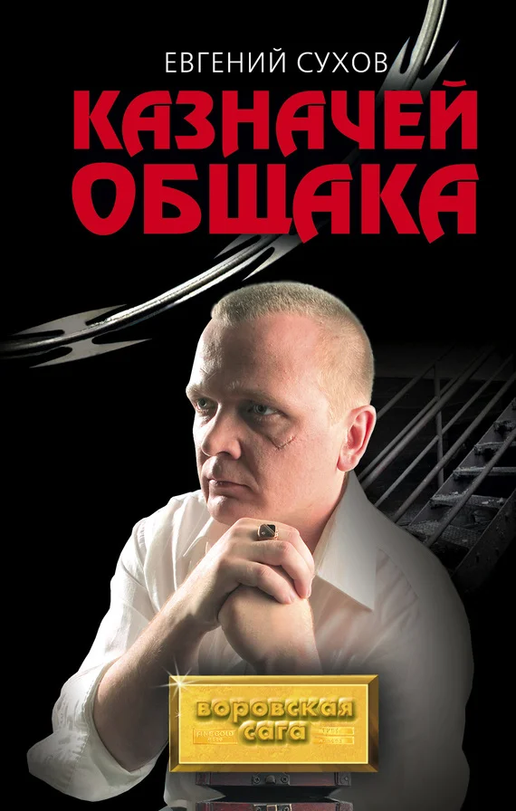 Обложка Казначей общака