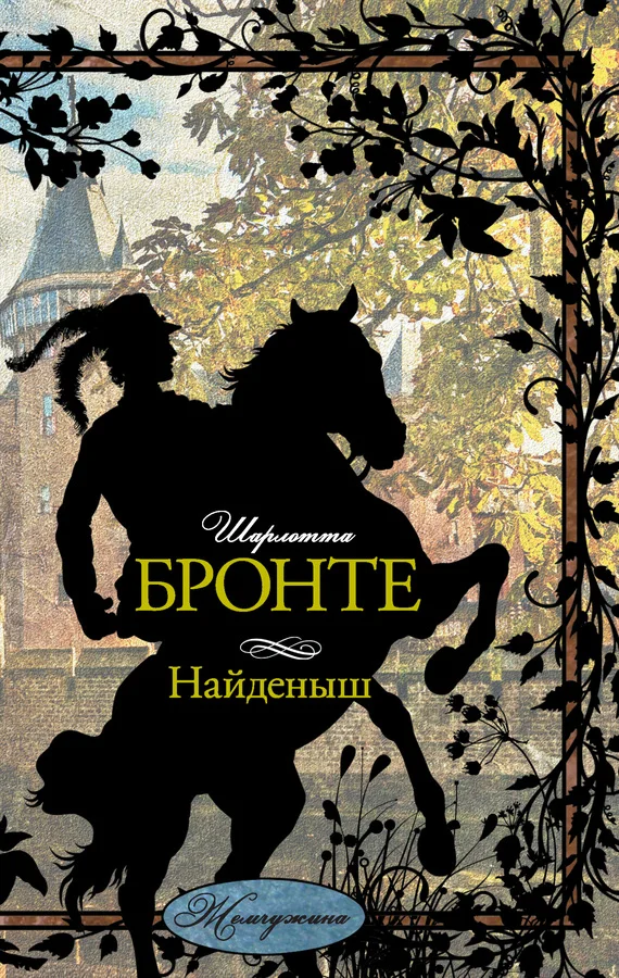 Обложка Найденыш