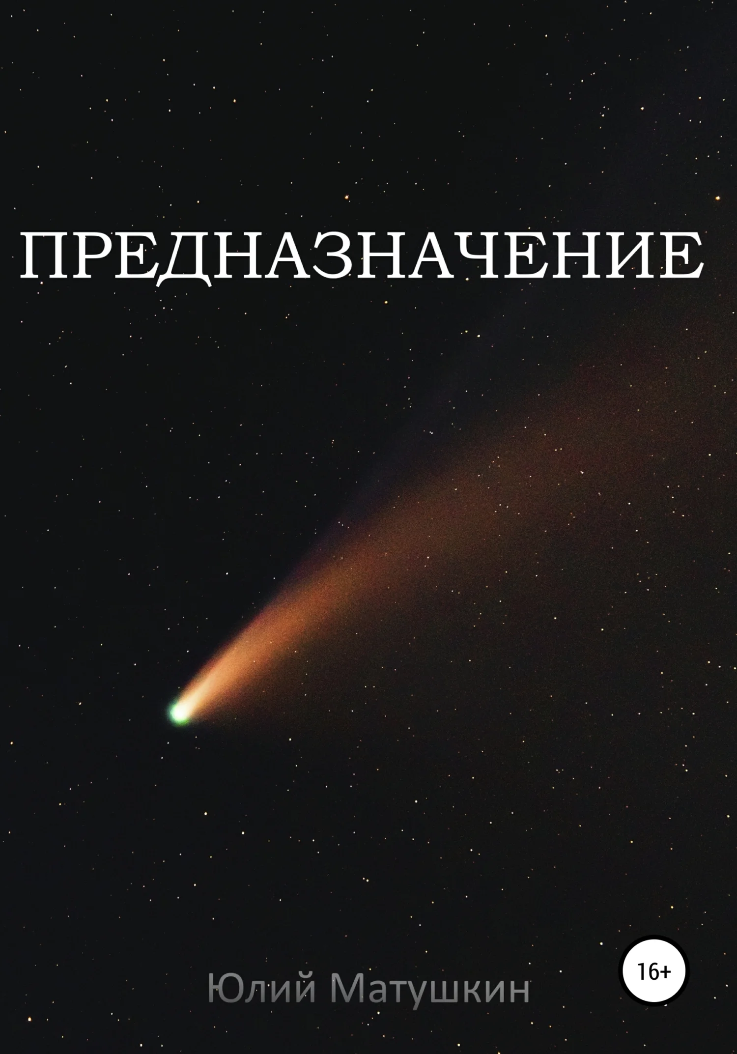 Обложка Предназначение