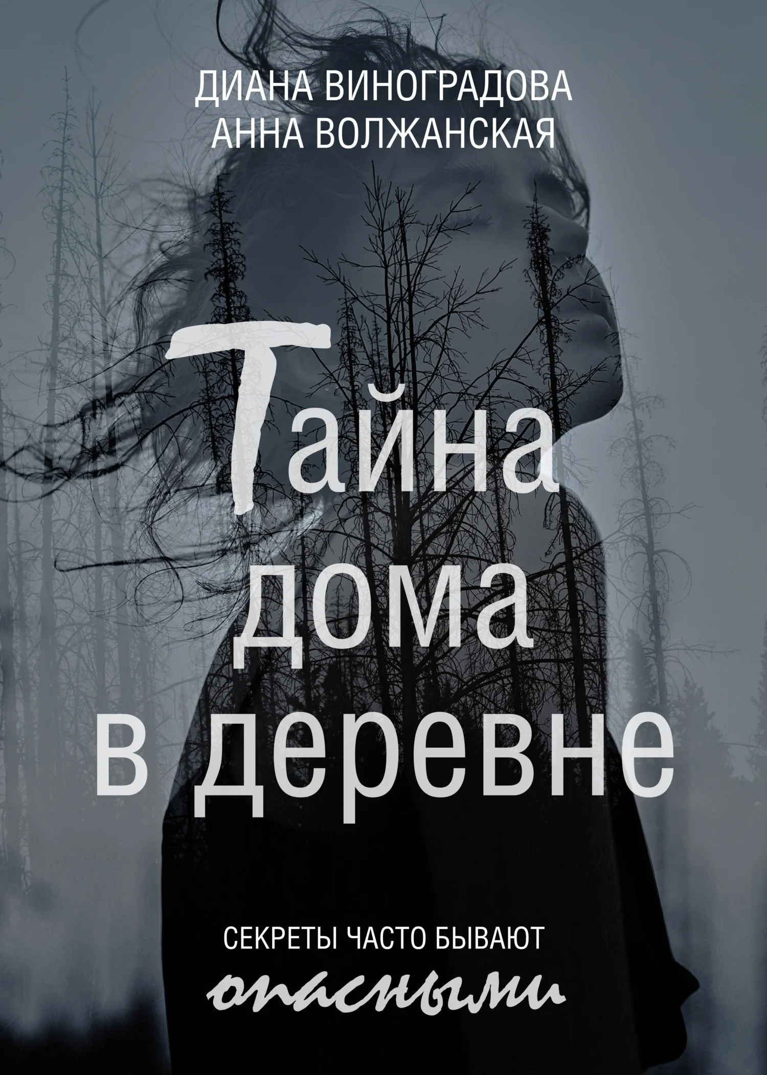 Обложка Тайна дома в деревне