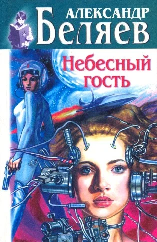Обложка Небесный гость