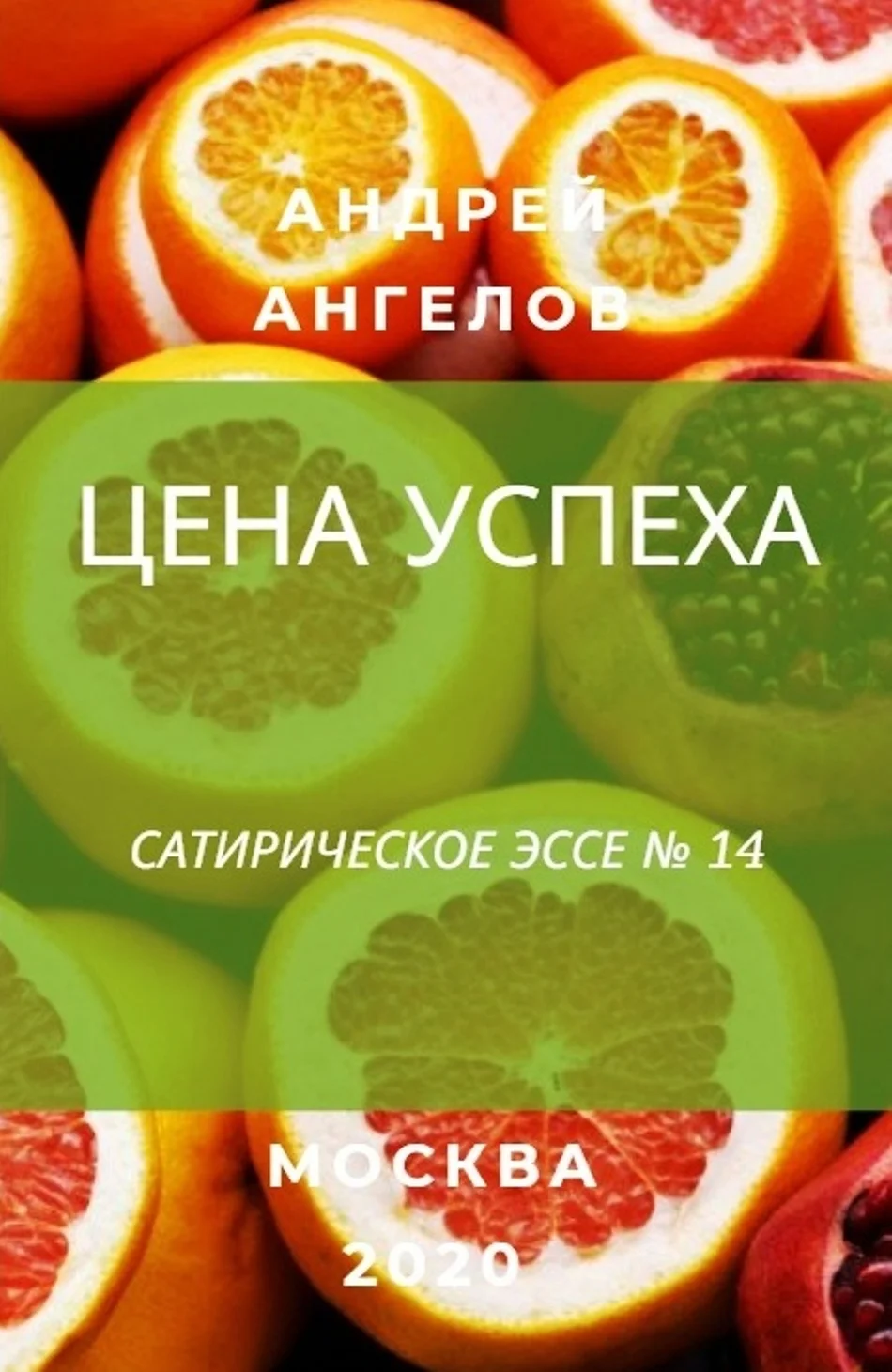 Обложка Цена успеха