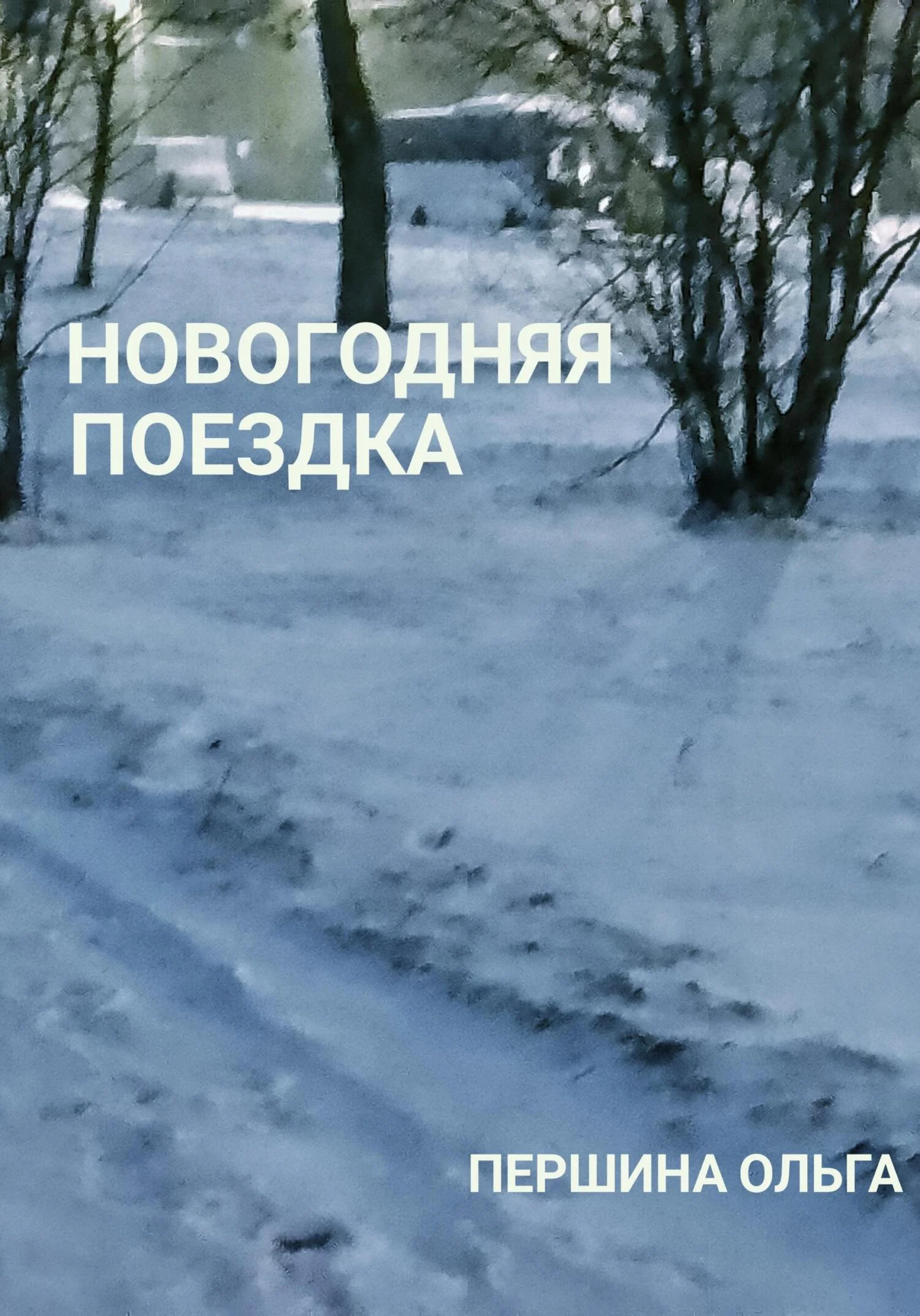 Обложка Новогодняя поездка