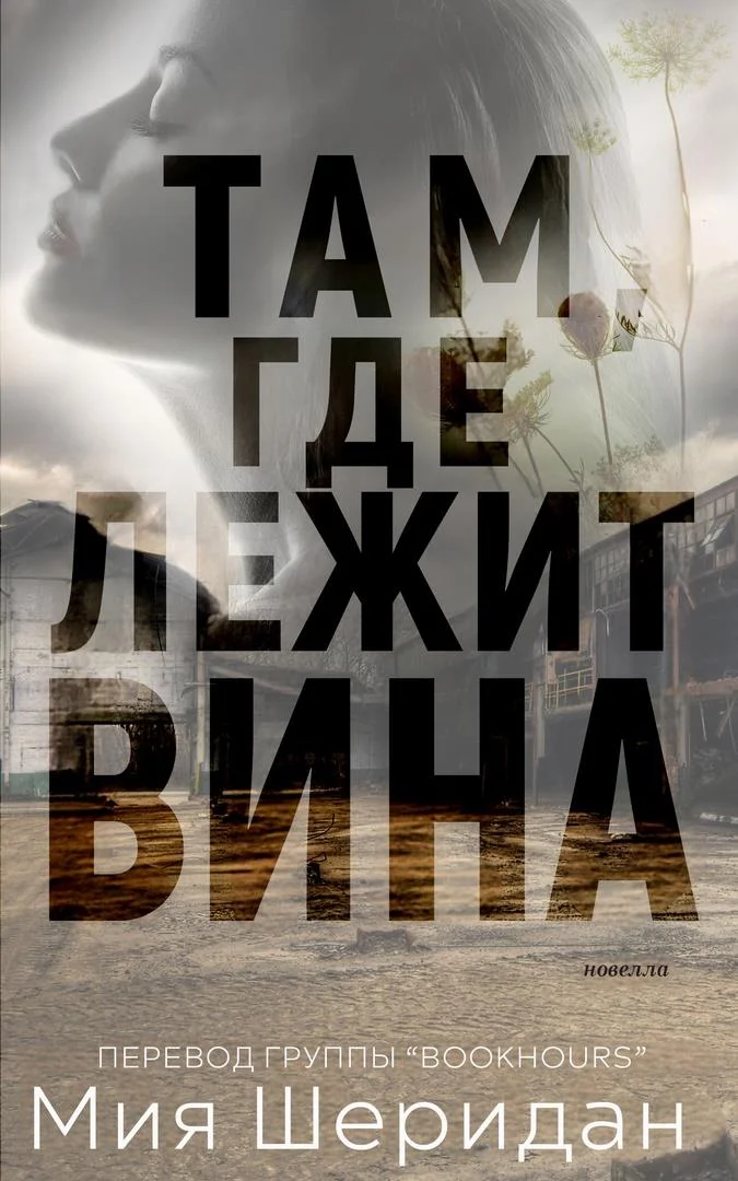 Обложка Там, где лежит вина