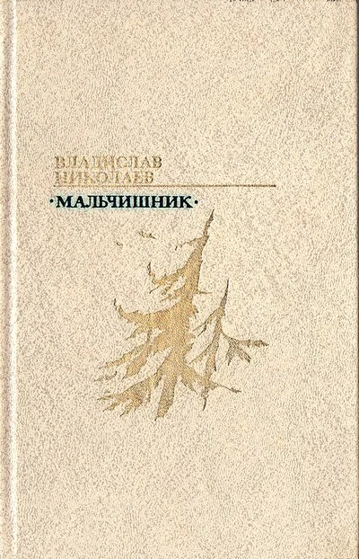 Обложка Мальчишник