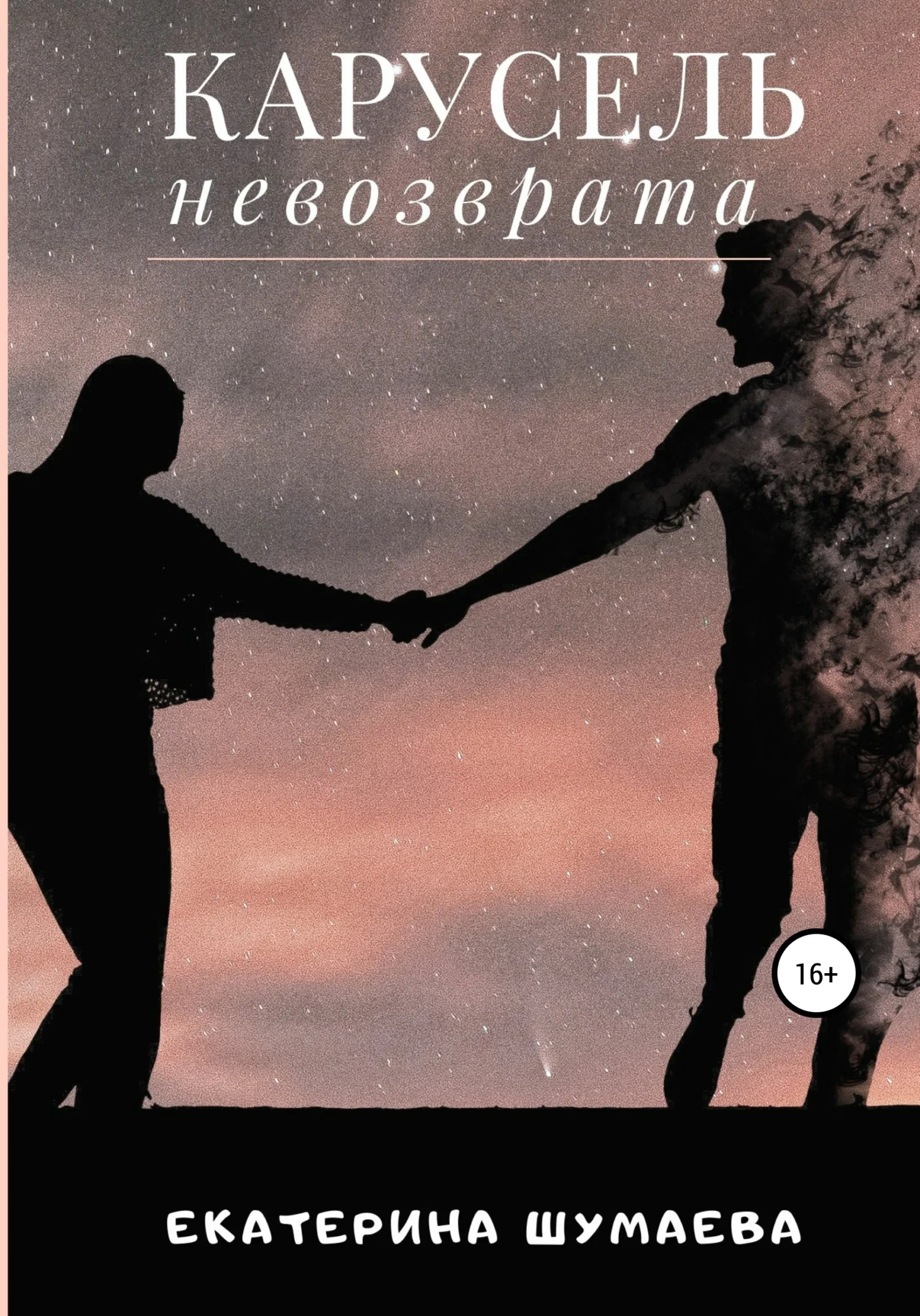 Обложка Карусель невозврата