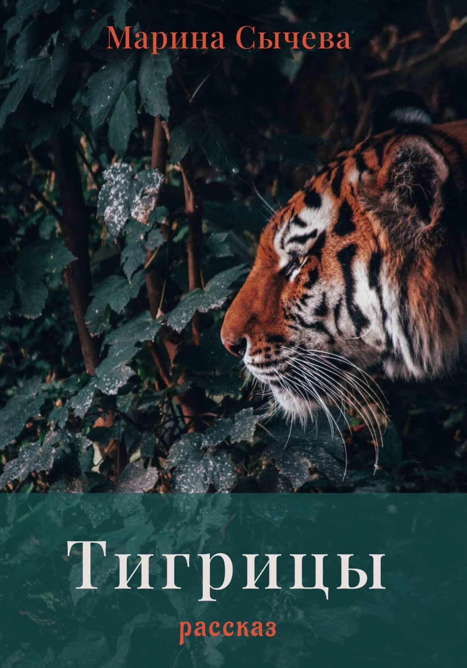 Обложка Тигрицы