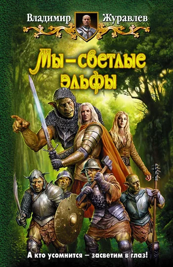 Обложка Мы – светлые эльфы