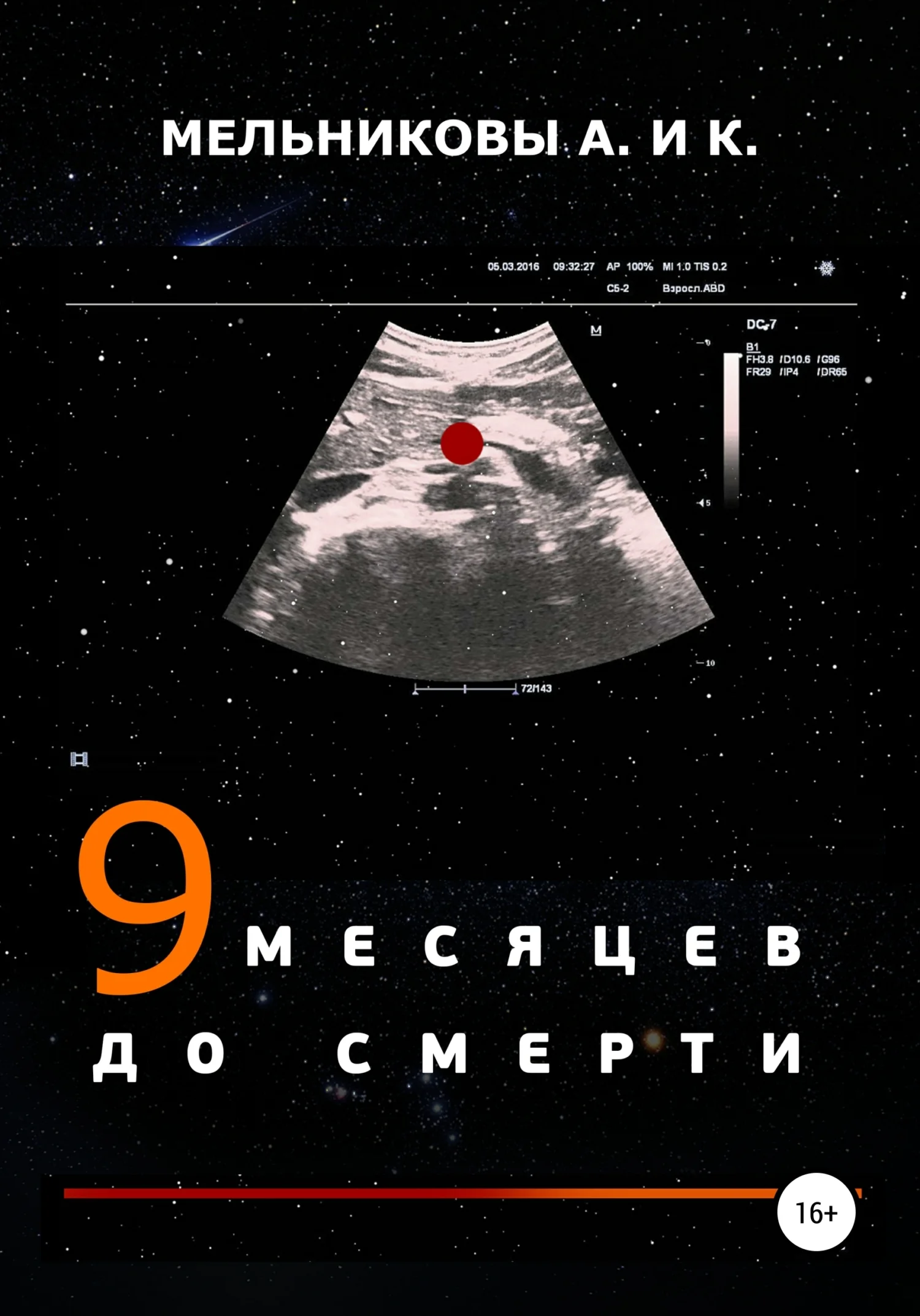 Обложка 9 месяцев до смерти