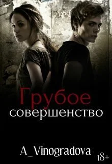 Обложка Грубое совершенство