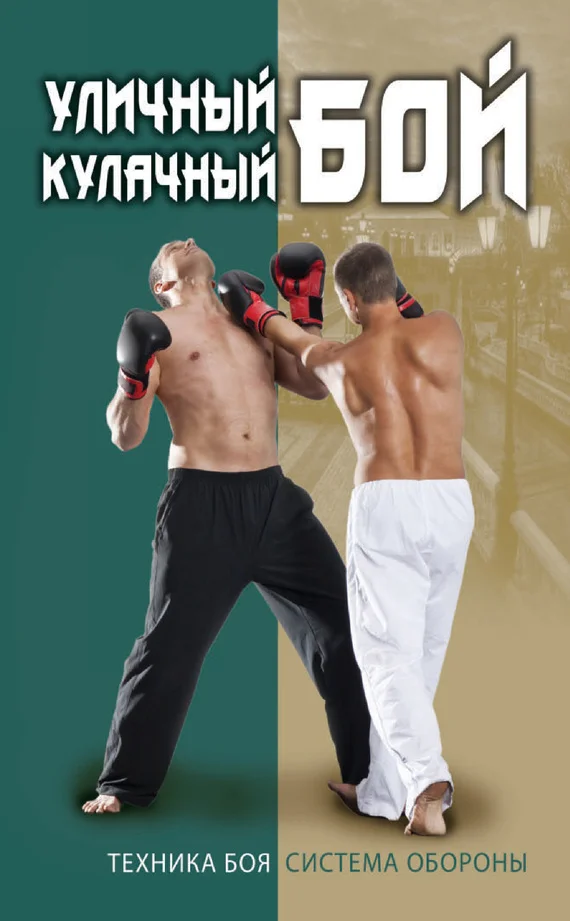 Обложка Уличный кулачный бой. Техника боя. Система обороны