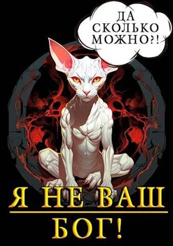 Обложка Я не ваш бог!