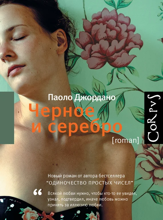 Обложка Черное и серебро