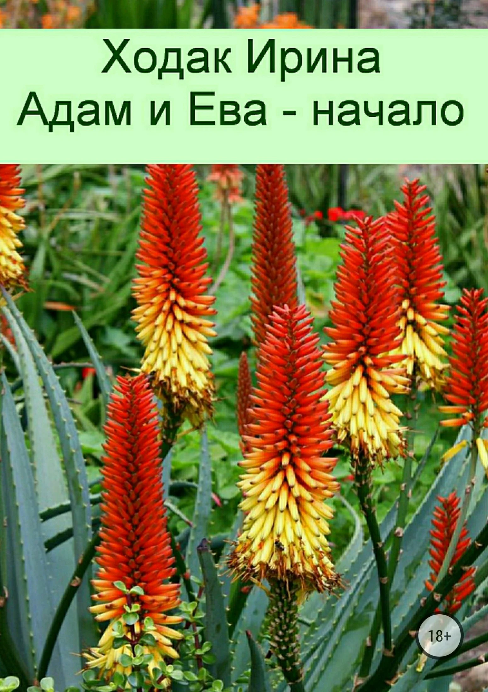 Обложка Адам и Ева – начало