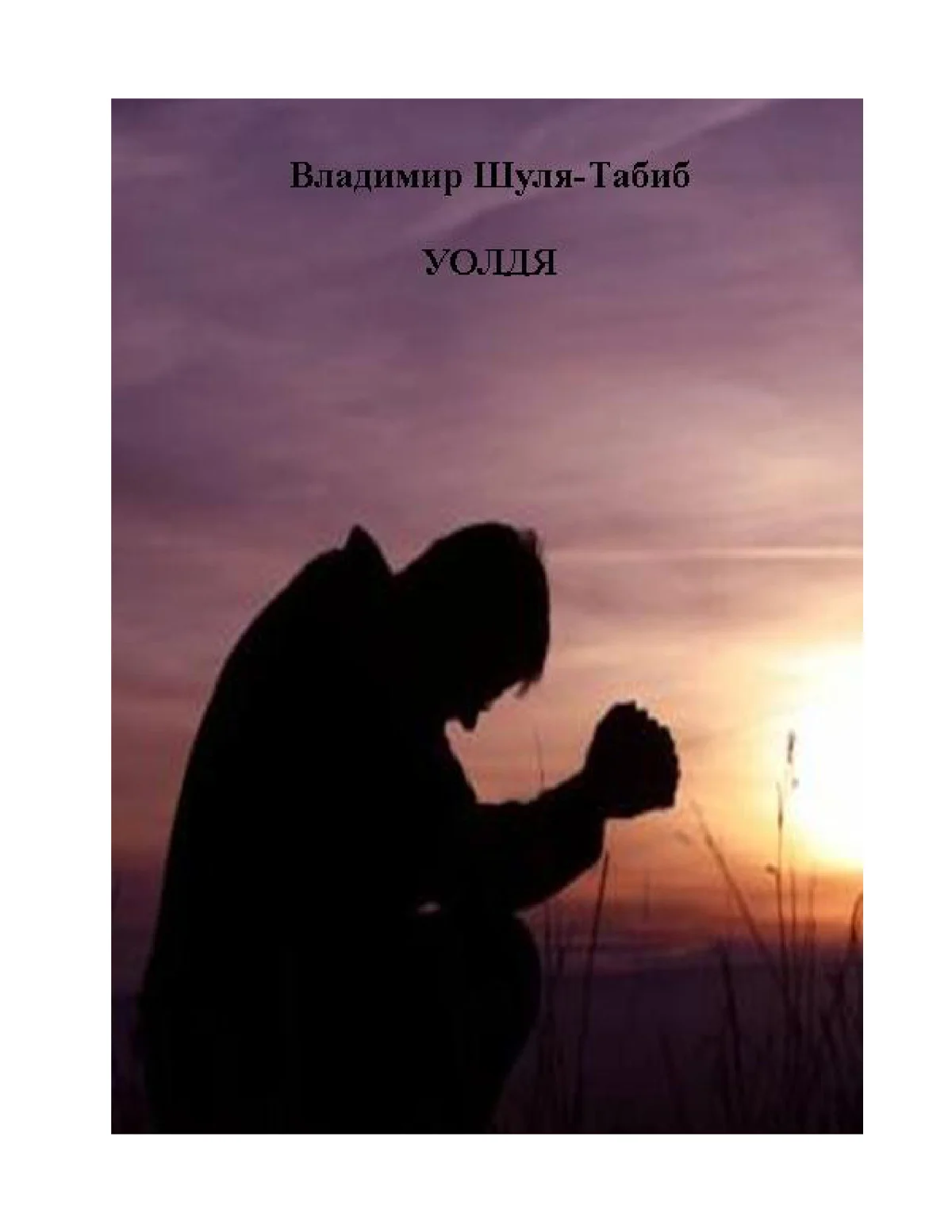 Обложка Уолдя