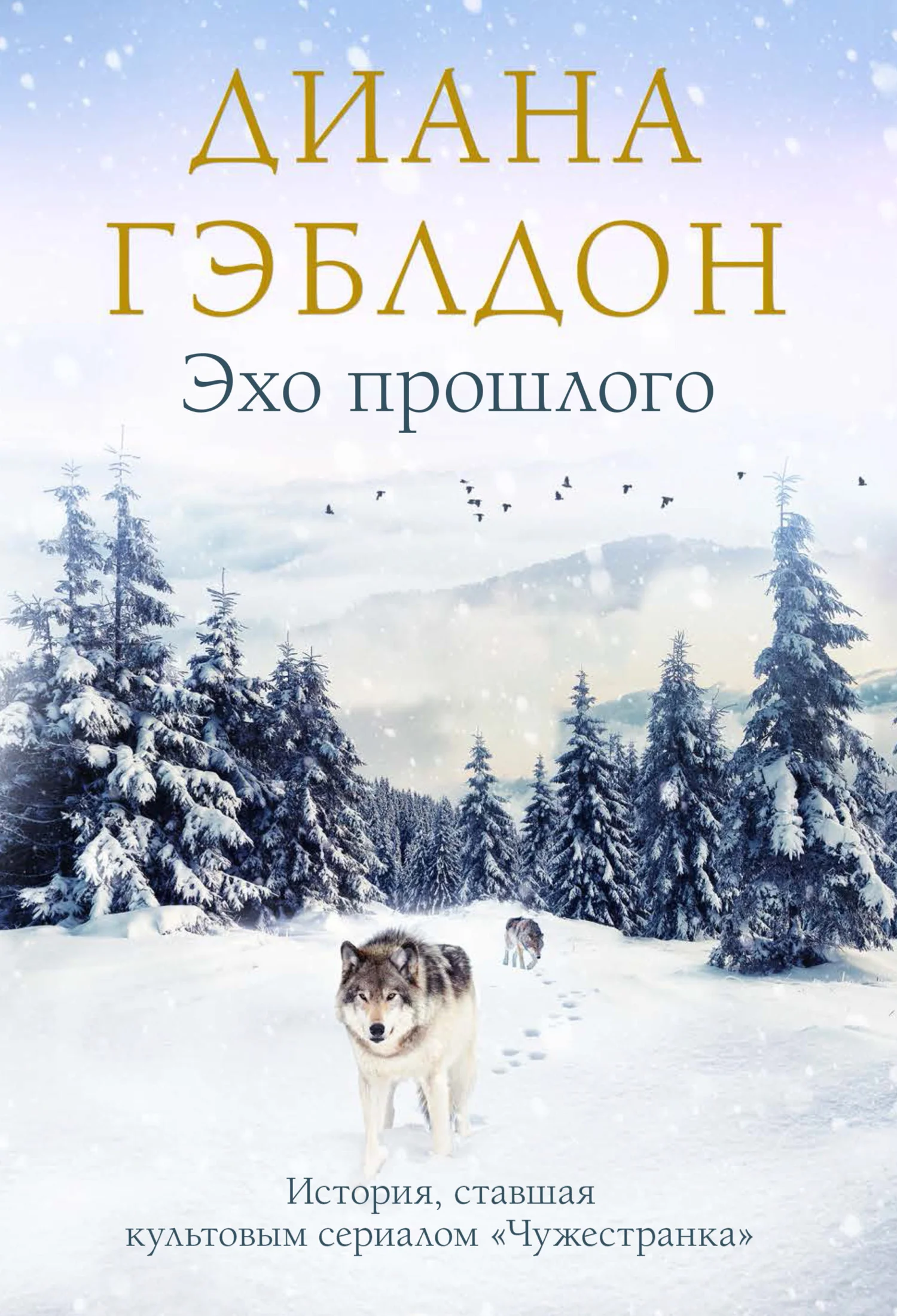 Обложка Эхо прошлого