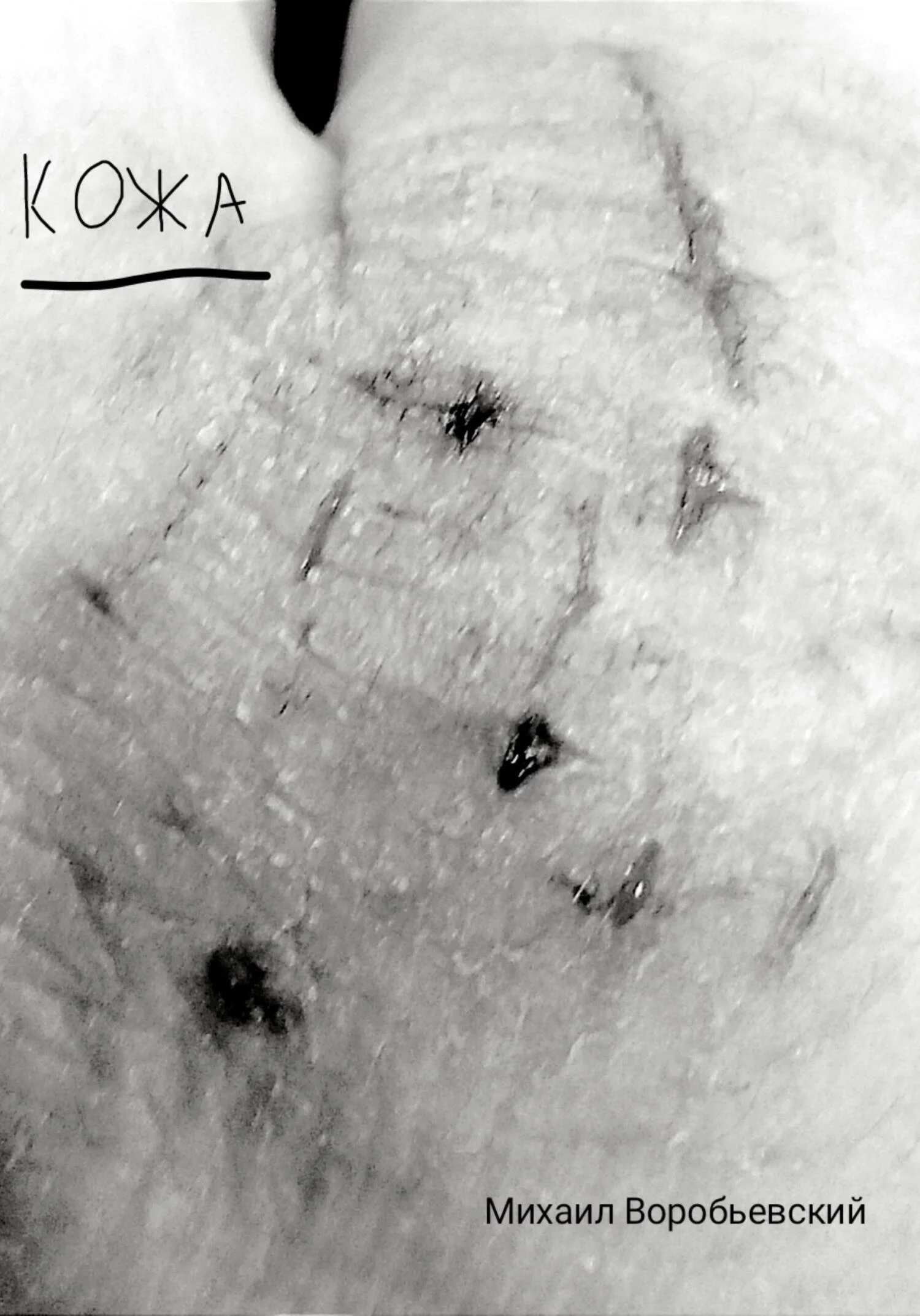 Обложка Кожа