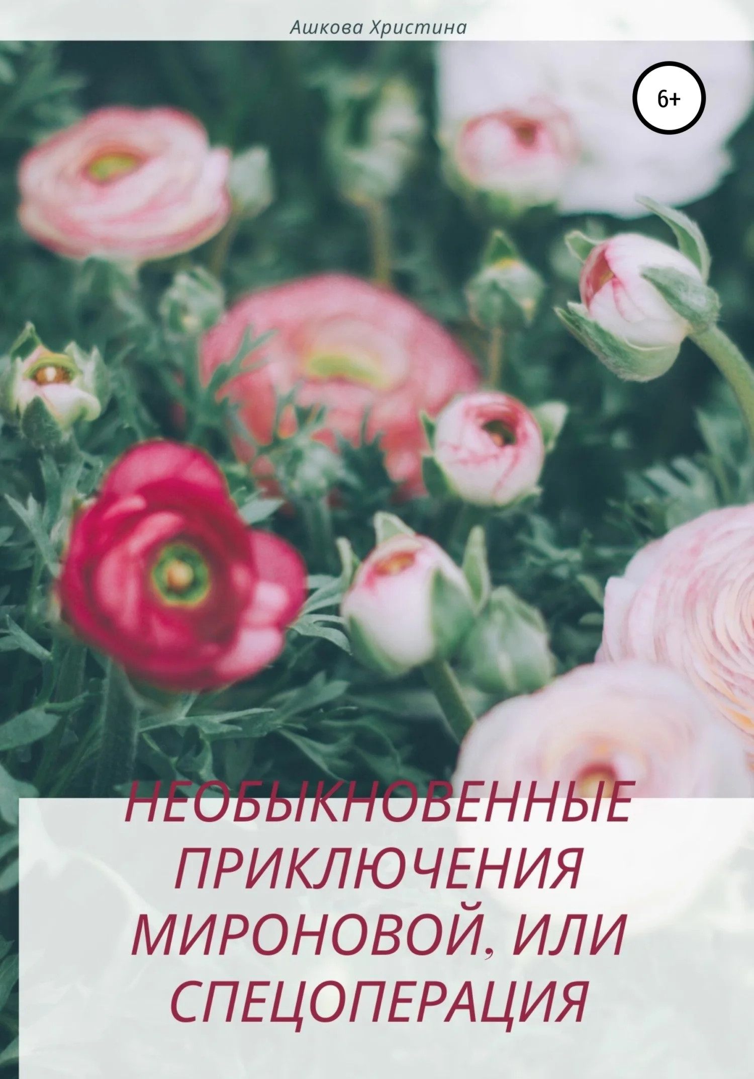 Обложка Необыкновенные приключения Мироновой, или Спецоперация