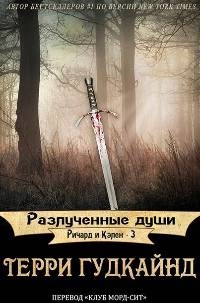 Обложка Разлученные души