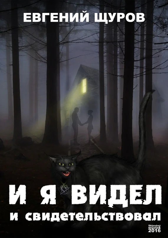 Обложка И я видел и свидетельствовал