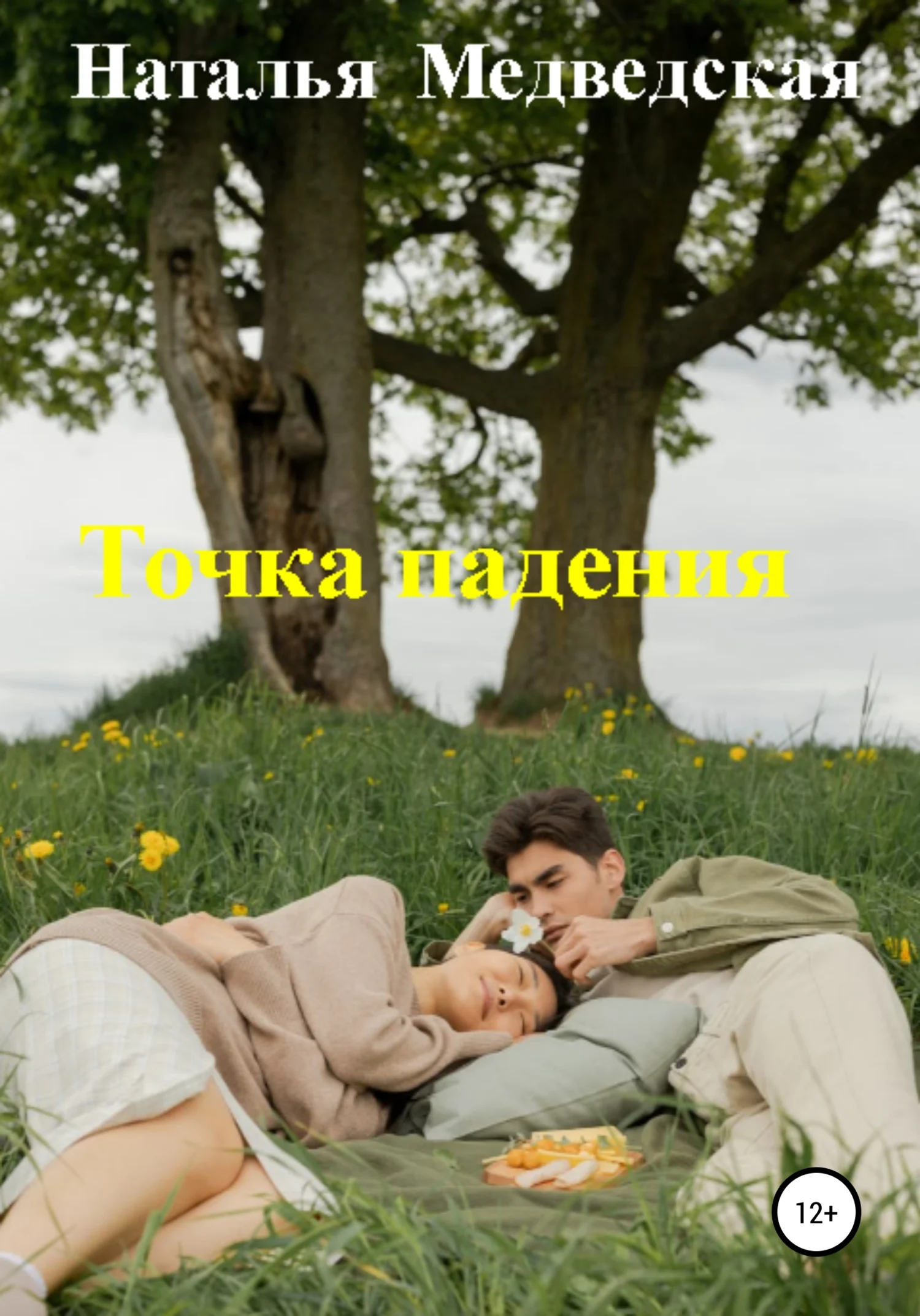 Обложка Точка падения