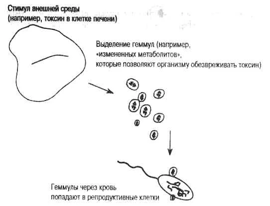 Обложка Что, если Ламарк прав? Иммуногенетика и эволюция