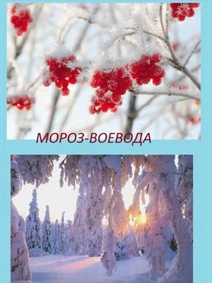 Обложка Мороз Воевода (СИ)