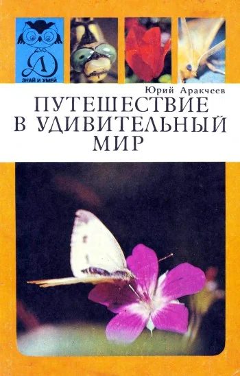 Обложка Путешествие в удивительный мир
