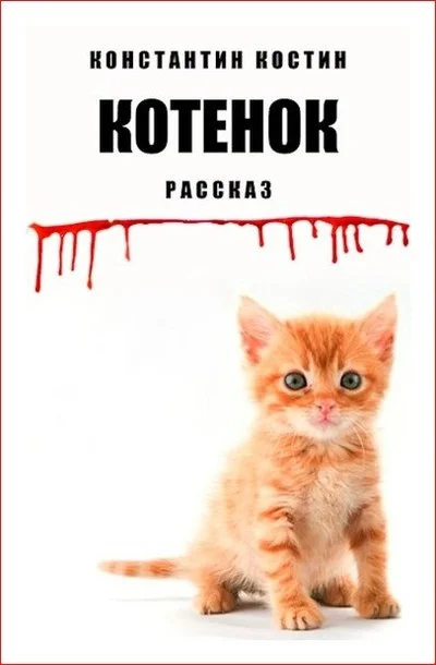 Обложка Котенок