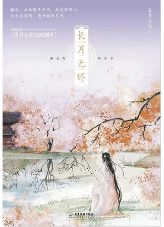 Обложка Светлый пепел луны