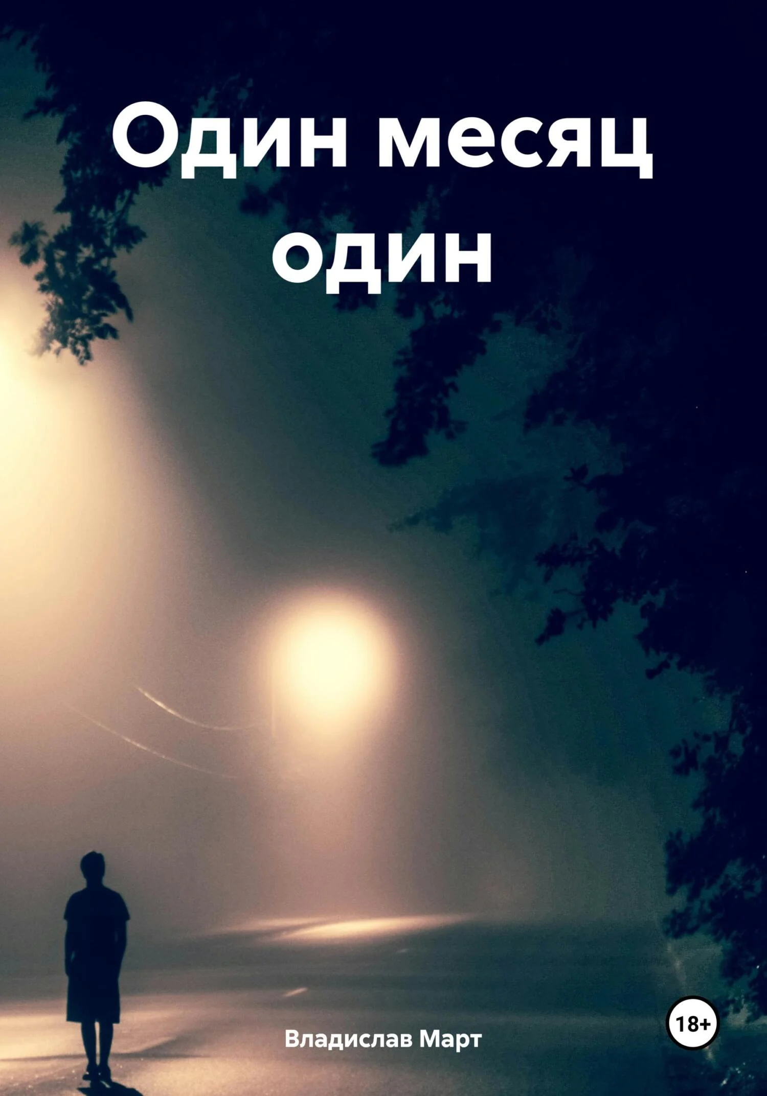 Обложка Один месяц один