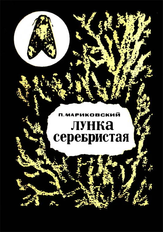 Обложка Лунка серебристая