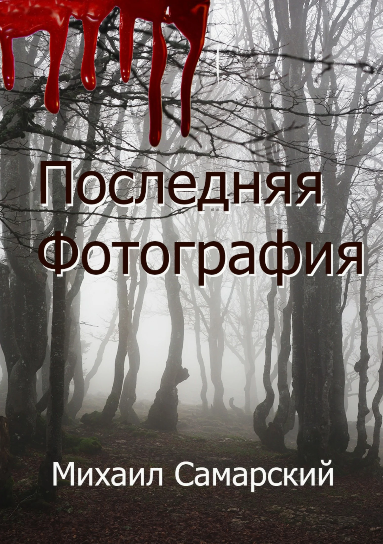 Обложка Последняя фотография