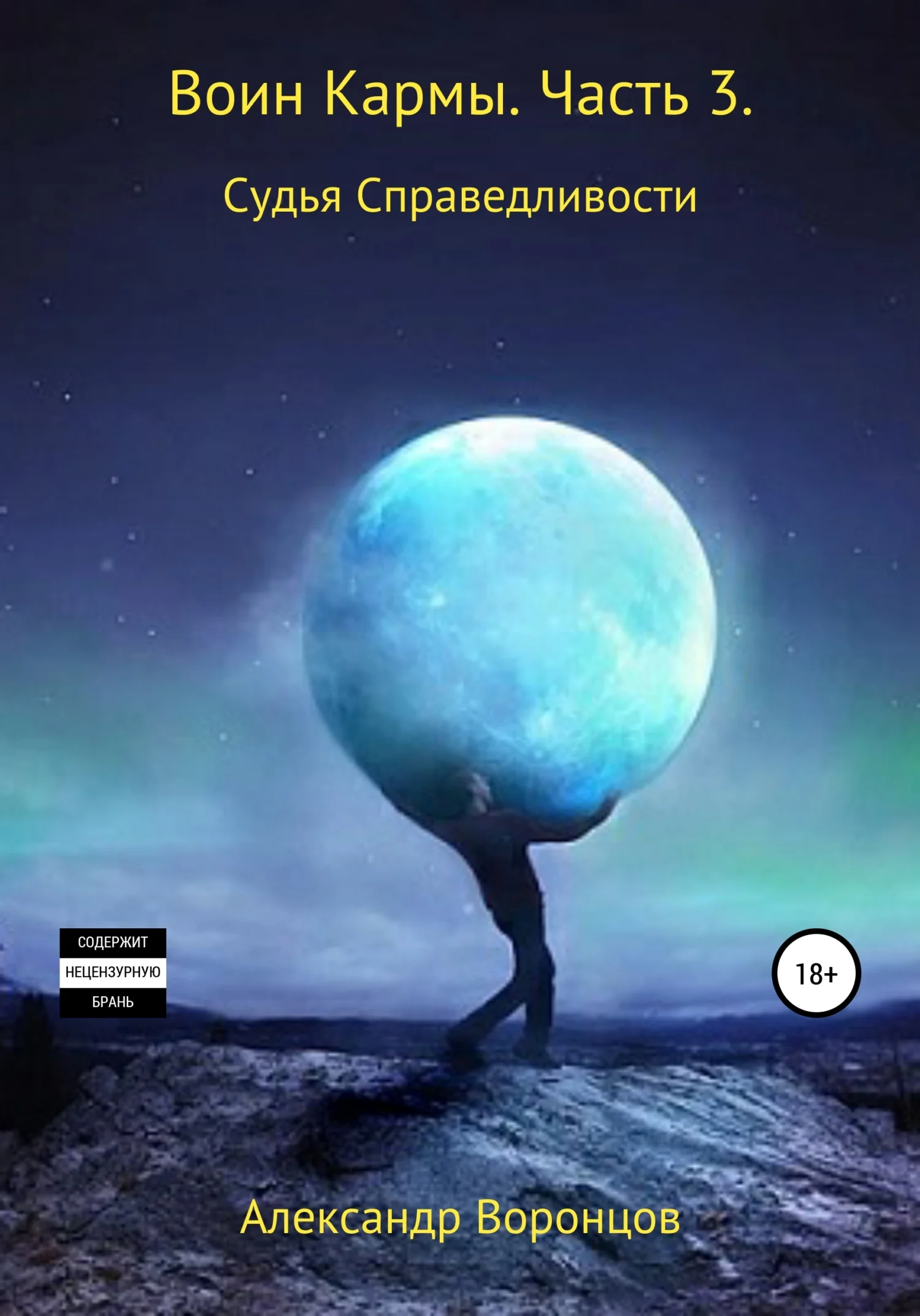 Обложка Воин Кармы. Часть 3. Судья Справедливости