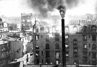 Обложка До того как умрет природа