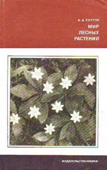 Обложка Мир лесных растений