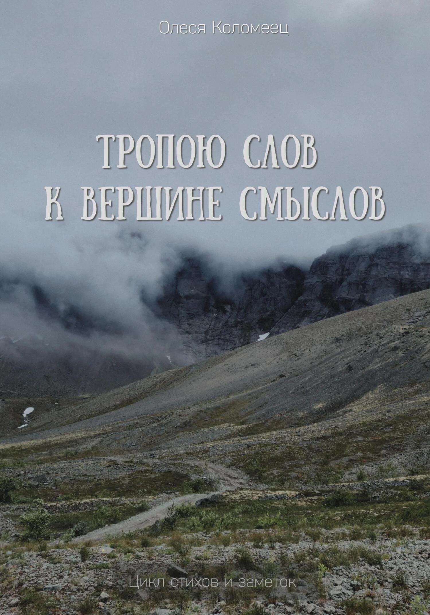 Обложка Тропою слов к вершине смыслов