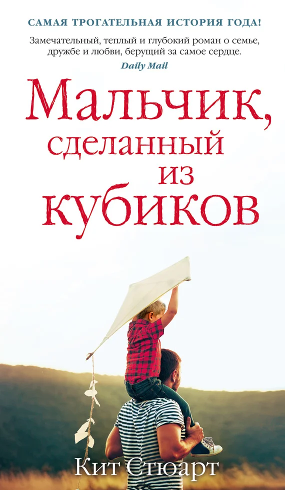 Обложка Мальчик, сделанный из кубиков