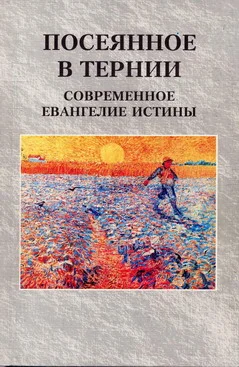 Обложка Посеянное в тернии. Современное евангелие истины