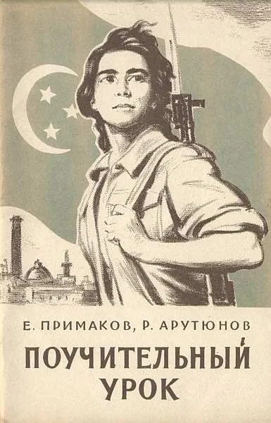 Обложка Поучительный урок (Вооруженная агрессия против Египта)