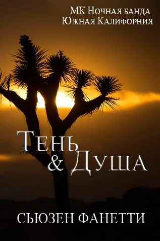 Обложка Тень и душа