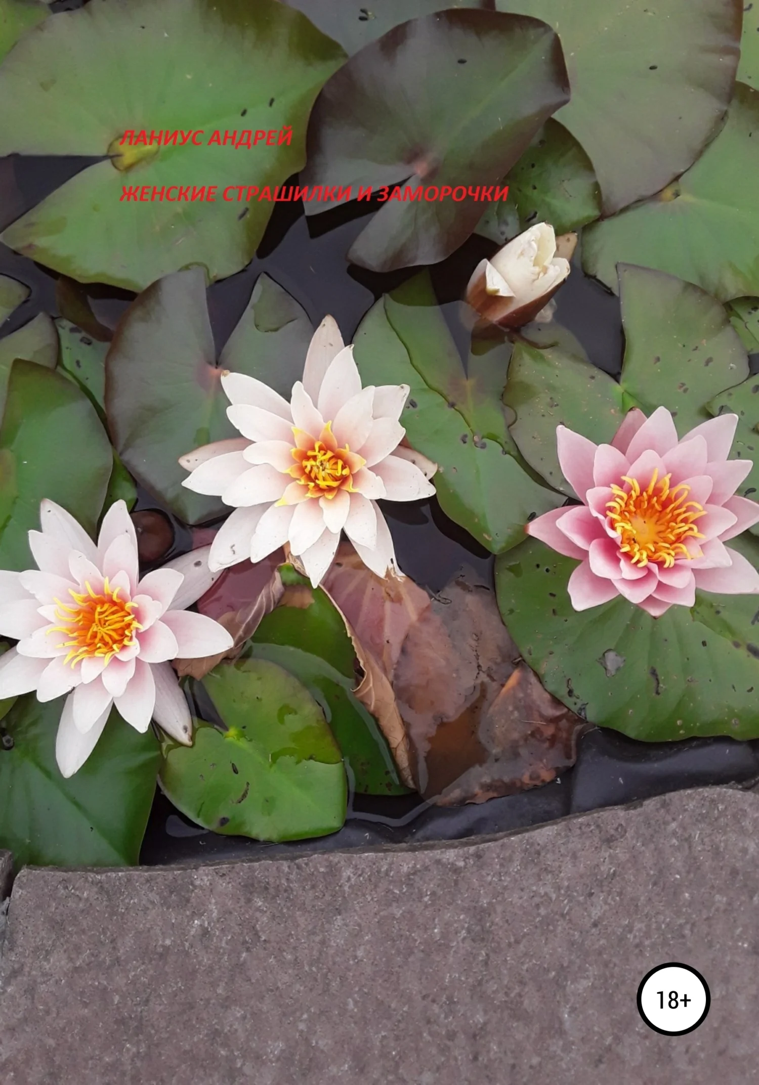 Обложка Женские страшилки и заморочки