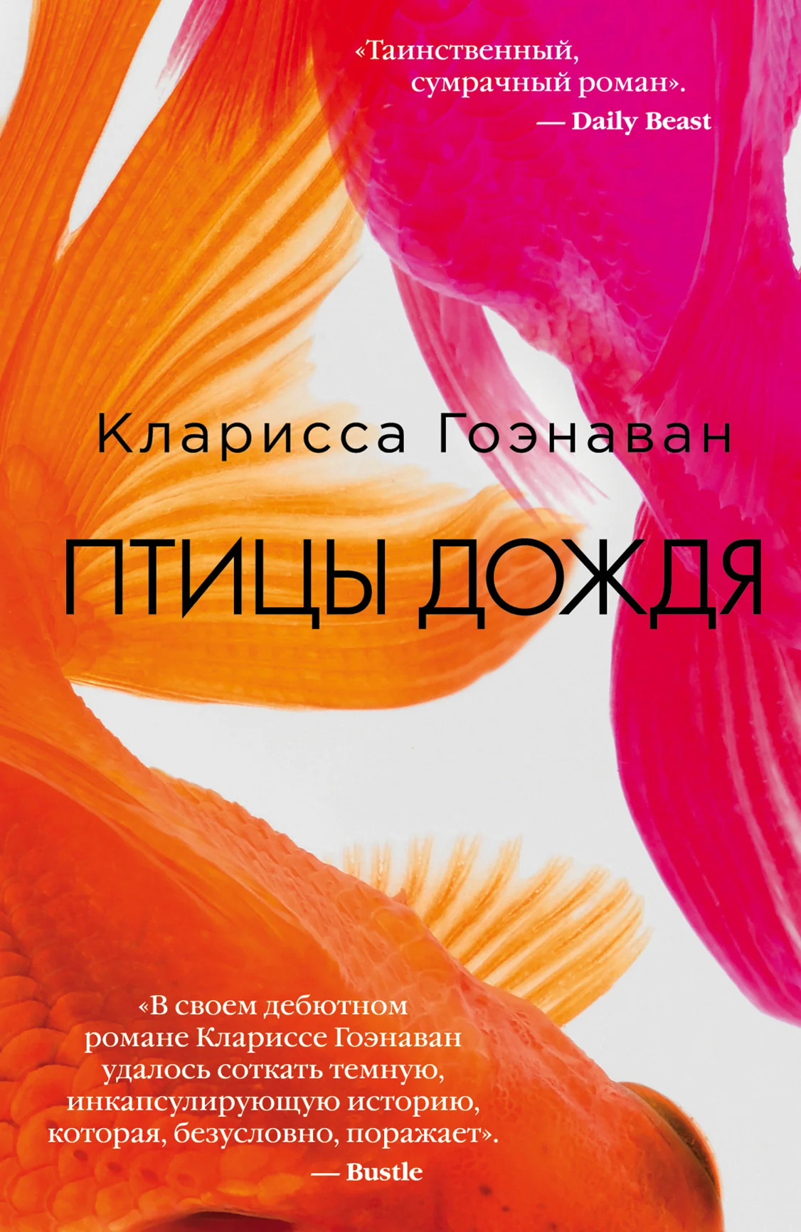 Обложка Птицы дождя